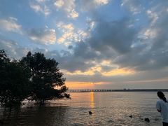 -宝安西湾红树林湿地公园