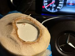 -志龙皇冠吃货椰子铺