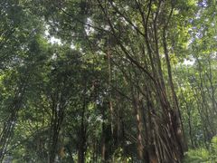-南宁南湖公园