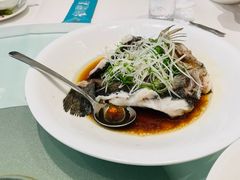 -圆苑(静安寺店)
