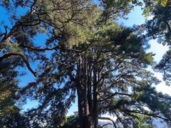 -终南山南五台景区