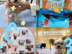 -美联众合动物医院·24h京西诊疗中心
