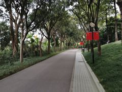 -云溪植物园