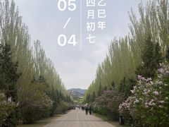 -乌素图国家森林公园