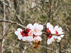 -北京金海湖景区