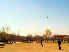 风筝-意大利农场度假村