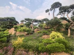 -罗红摄影艺术馆