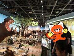 -陕西自然博物馆