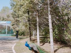-沈阳鸟岛