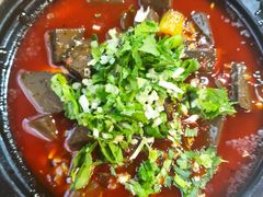 泡椒羊血-老桥张羊肉