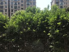 -风度国际生活广场-停车场