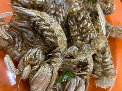 -贞姨美食·老字号海鲜大排档