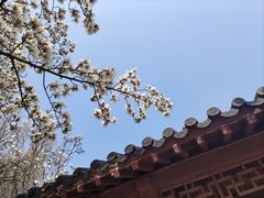 -郑和公园
