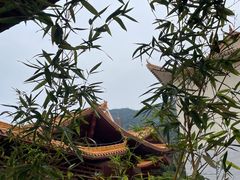 -深圳市中科院仙湖植物园