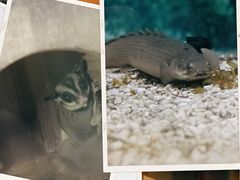 -上海大自然野生昆虫馆(东方明珠·爬宠昆虫探索中心)