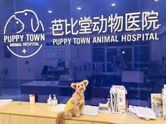 -芭比堂动物医院·24小时·眼科中心(深圳中心)
