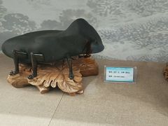 -甘肃地质博物馆