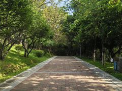 -玉树公园