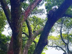 -墨池公园