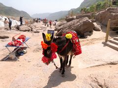 -陕西黄河壶口瀑布旅游区