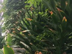 -龙达温泉生态城