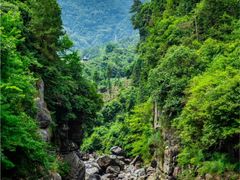 -祁门牯牛降观音堂风景区
