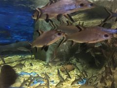 -成都浩海立方海洋公园