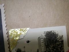-西南交通大学(九里校区)
