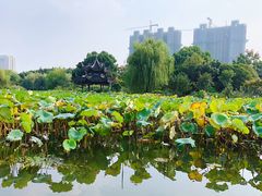 -花溪公园