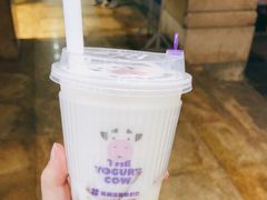 -一只酸奶牛(春熙路店)