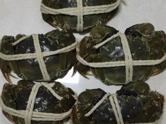 -七星龙虾城·海鲜·大闸蟹(吴江店)