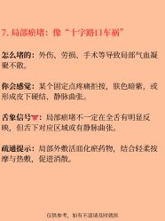 点击看大图 -玛莲朵·海菲秀冰珀科