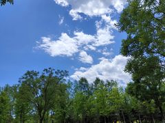 -东郊湿地公园