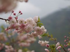 -婺源风景区