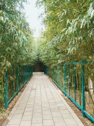 -北京英煌医疗美容