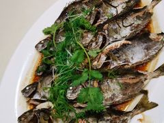 -万山楼海鲜酒家·二十三年老字号
