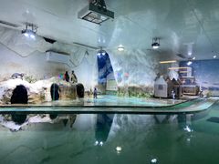 -北戴河圣蓝海洋公园