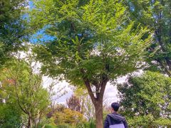 -天河潭旅游度假区
