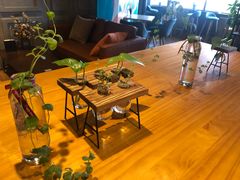 -ZING COFFEE 镜咖啡