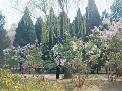 -元大都城垣遗址公园