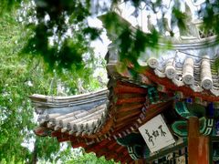 -莲池书院博物馆