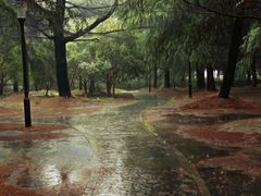 -黄兴公园
