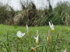 -滨湖塘西河公园