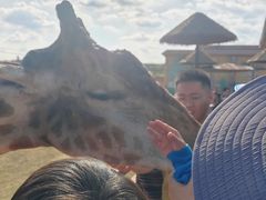 -鄂尔多斯野生动物园