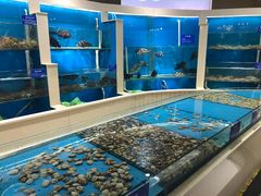 水产区-福泉海码头(六里山店)