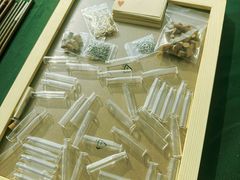 -嘉北郊野公园
