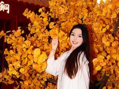 -龙湖杭州滨江天街