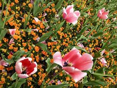 -中共上海市委党校 上海行政学院