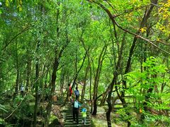 -广州白江湖森林公园