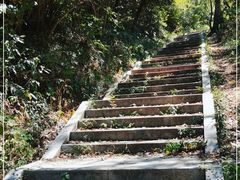 -青龙山国家森林公园